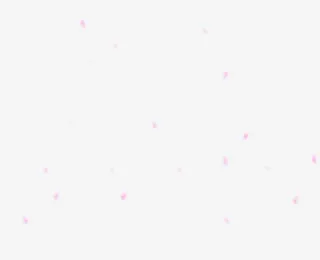 飞舞粉色小花花瓣免抠