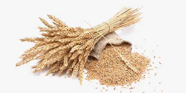 高清农作物免抠png实物免抠