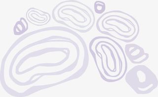 彩色动感圆形免抠