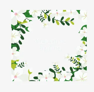 白色山茶边框免抠