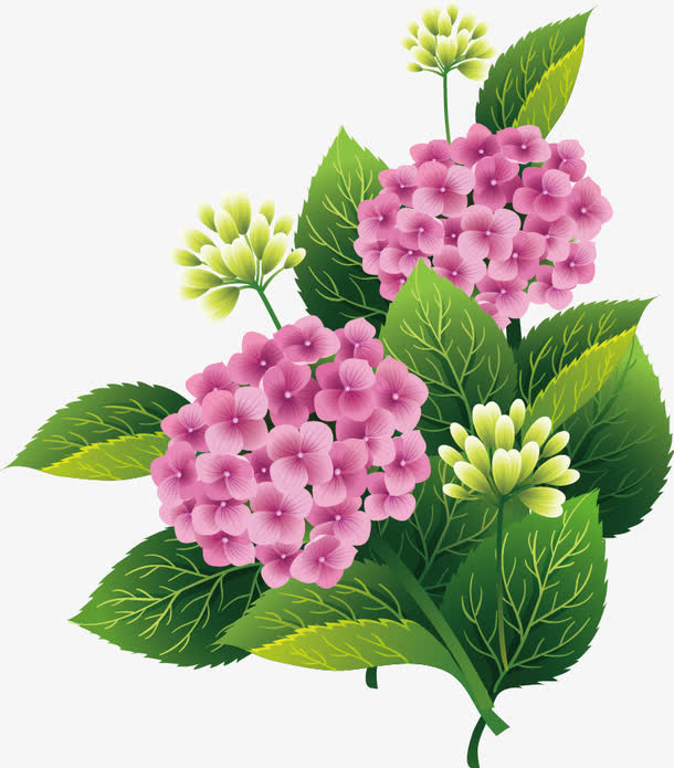 春暖花开免抠