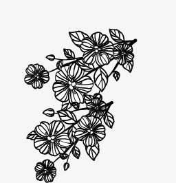 黑色花朵免抠