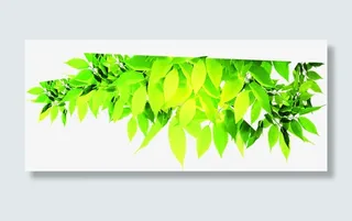 绿色春天树叶美景手绘卡通免抠