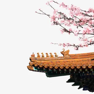 杏花png元素免抠