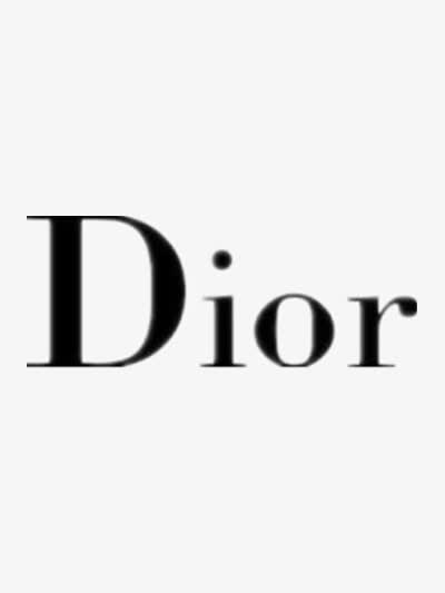 DIOR品牌标识图案免抠