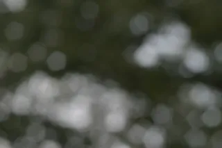 光点 灰黑色免抠