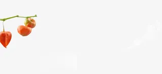 创意元素植物红色辣椒灯笼形状免抠