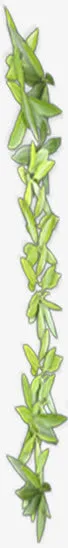 绿色卡通树枝花藤免抠
