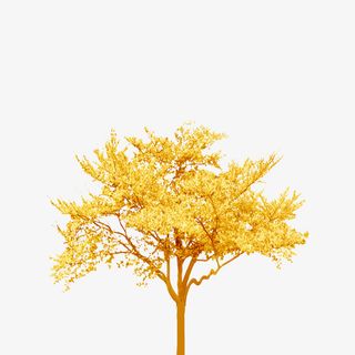 元旦圣诞喜庆金色树PNG图免抠