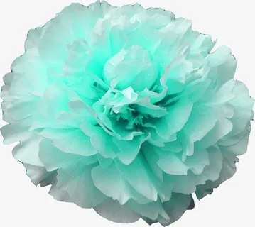 发光的花朵免抠