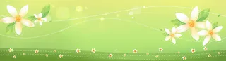 时尚清新花朵花瓣背景banner