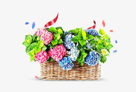 花篮免抠