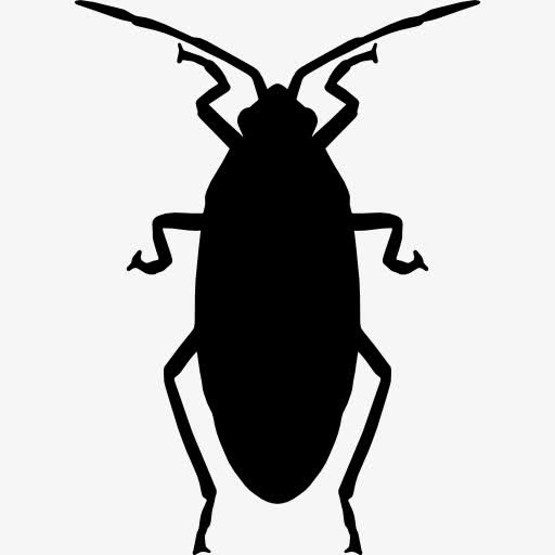 Roach 图标免抠图标元素
