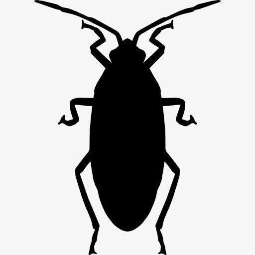 Roach 图标免抠图标元素