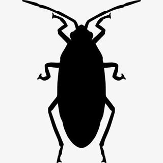 Roach 图标免抠图标元素