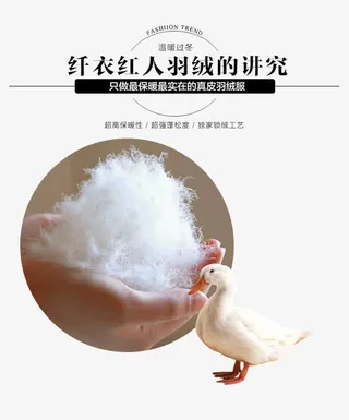 白鸭绒文字排版免抠