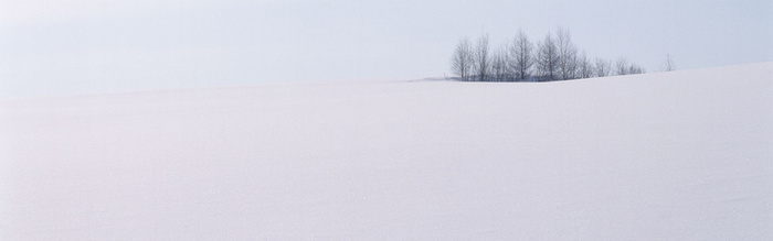 雪景背景图高清