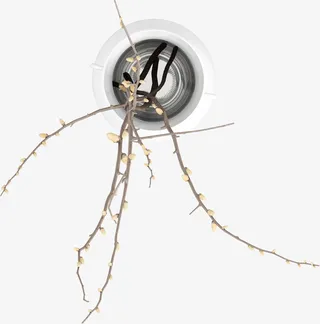 黄色装饰干花效果元素免抠