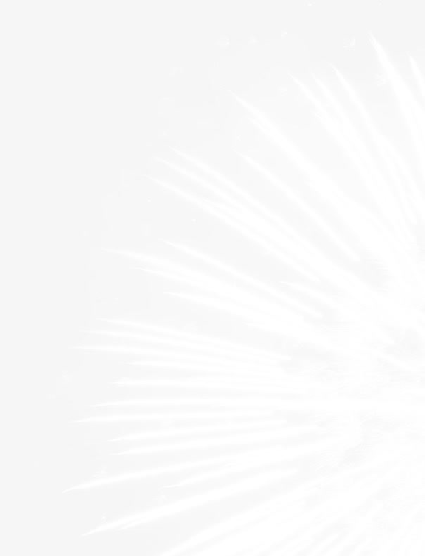 中国风白色光效羽毛免抠