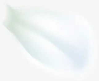 白色秋天植物花朵花瓣免抠