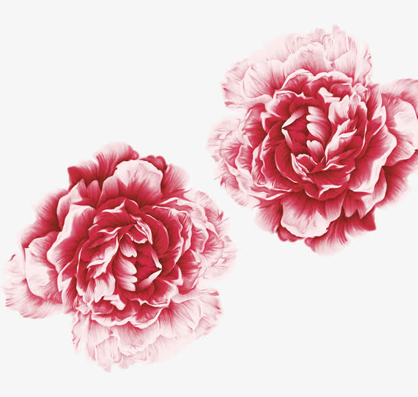 母亲节花元素免抠