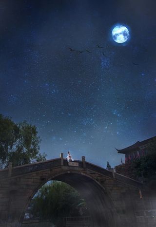 夜晚风景星空乌鸦免抠背景H5背景元素