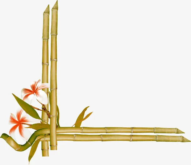 鲜花绿色竹子边框纹理免抠