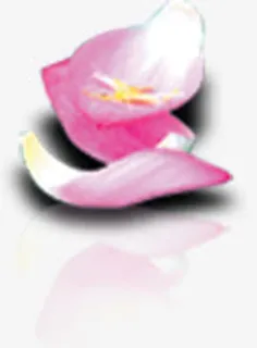 粉色卷曲花瓣艺术美景免抠