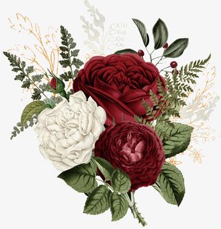 手绘复古红色花卉植物免抠动植物植物元素