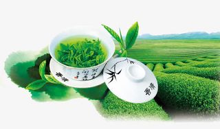 茶叶免抠