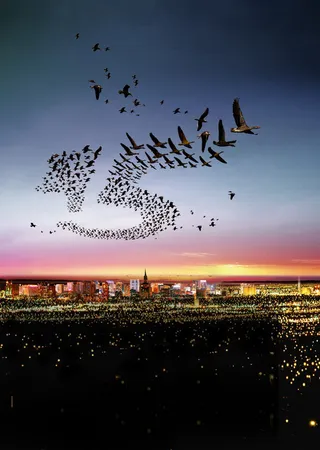 小鸟排列海报高清