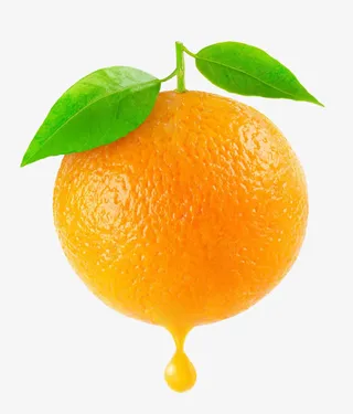 创意水果元素免抠