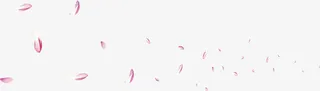 花，花瓣，花絮，淘宝素材，飘浮免抠