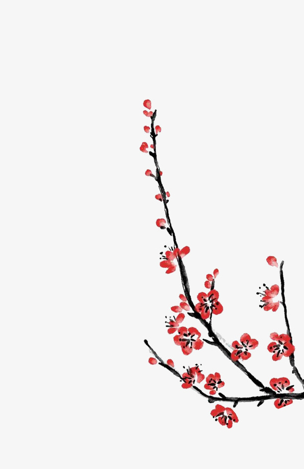 花卉免抠