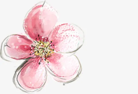 手绘艺术水墨桃花免抠