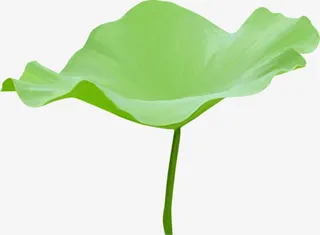 手绘荷叶免抠