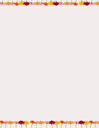 彩色花瓣背景材料高清