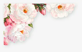 手绘清新花草边框装饰免抠