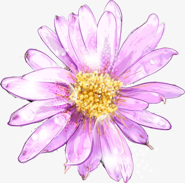 粉色水彩菊花矢量素材免抠
