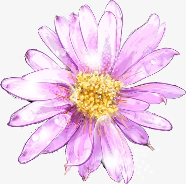 粉色水彩菊花矢量素材免抠