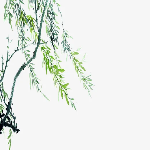 绿色手绘垂柳元素免抠