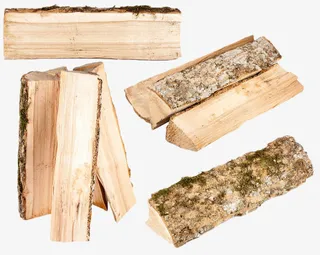 黄色枯木头免抠