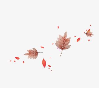 红色树叶枝叶漂浮素材免抠