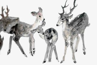 一群小鹿png免抠