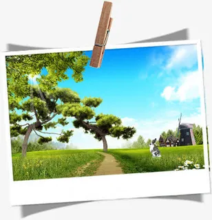 春天大树美景道路免抠