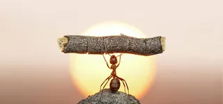 学校文化承担励志展板高清