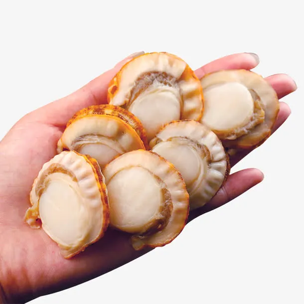 超大颗帆立贝免抠