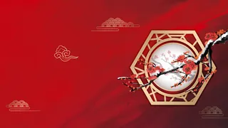 红色梅花树枝背景图高清