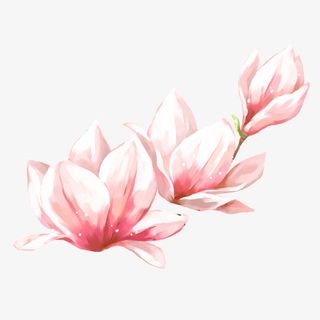 春季踏青春天的花朵免抠