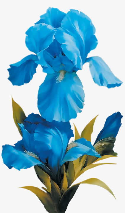 花草装饰素材免抠